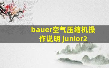 bauer空气压缩机操作说明 junior2